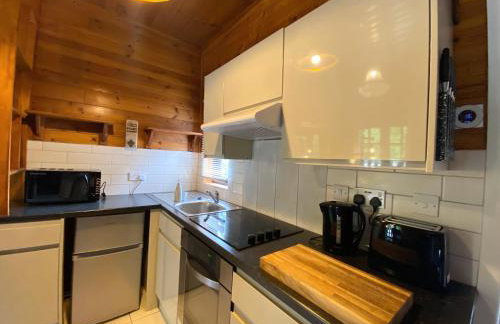 Hunters Hideaway Lodge - Private Hot Tub - Infrared Sauna - Dog Friendly - Foto 9