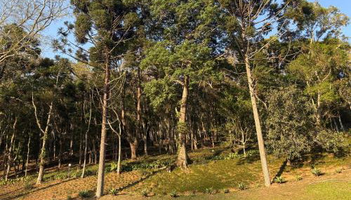 Casa 05 Vale Boa Vista - Refúgio Moderno em Condomínio Exclusivo - Foto 5