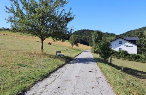 Fewo Haus Bellevue - inkl. MeineCard+ - Foto 22