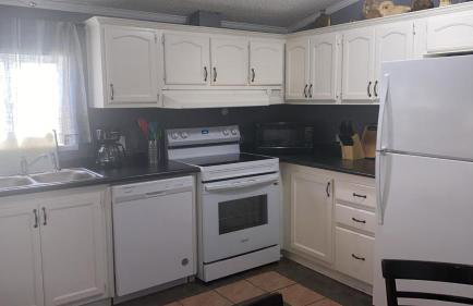 Cozy 3BR cabin with AC and Wi-Fi Fully Fenced - Photo 11