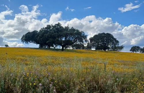 ALDEIA DOS ORVALHOS - VILLAGE By MAYORAL - Foto 39