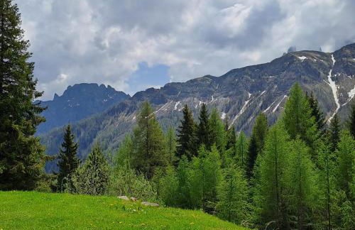 La Casa degli Gnomi - Foto 48