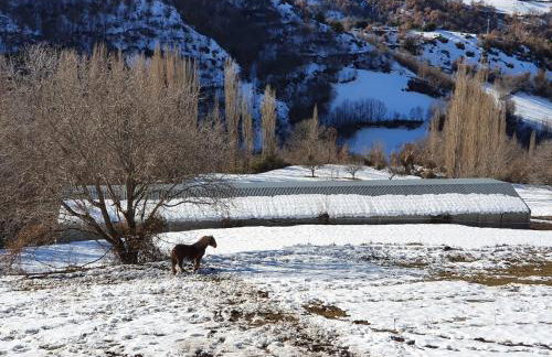 Espectacular Chalet de Montaña Pirineos, Burg - Foto 50