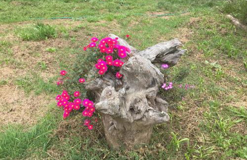 Quinta Boavista - Foto 16