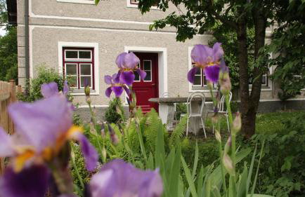 Alte Wirtschaft - Foto 10