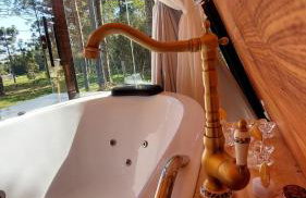 Chalé Araucárias Cambará do Sul - Foto 11