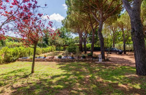 Tenuta Fiumara - Foto 41