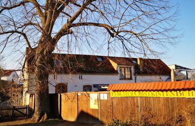 Zimmer am Schwielowsee - Foto 37