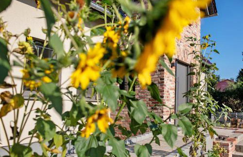 Ferienwohnungen Stolzenhagener 7 - Foto 42