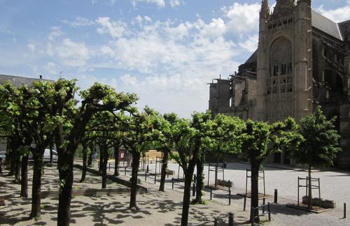 Appart face au mail - Foto 6