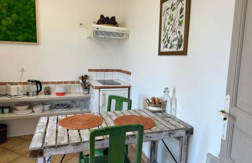 Mas de la Sacristière - Photo 51