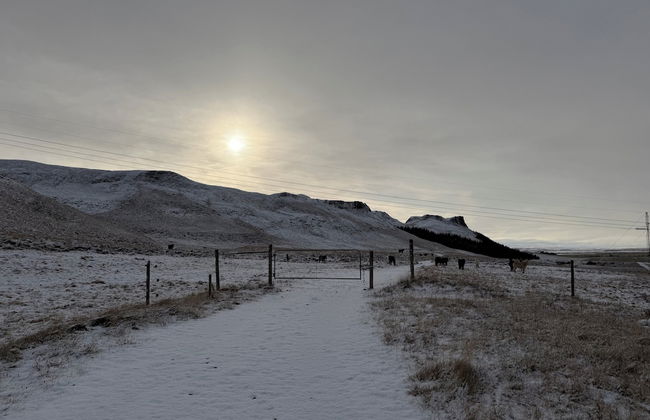 Au44 cottages - Arngrimslundur - Foto 69