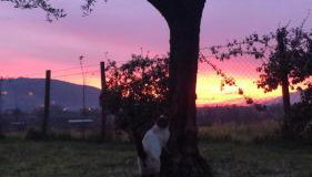 Dreams Valley - Photo 2