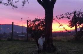 Dreams Valley - Foto 3