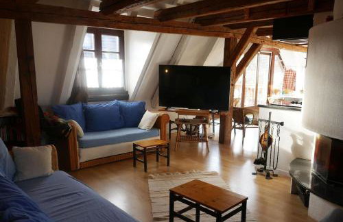 Plein Sud vue sur les Vosges et le vignoble - Foto 22