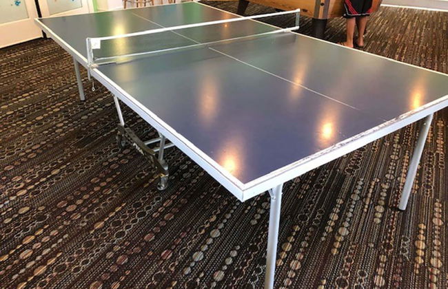 Sun Palm Paradise - Foto 45