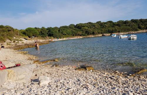 Villa LETA - Luxury villa in a green oasis with heated swimming pool, fitness center and summer kitchen - Kvarner - Foto 37