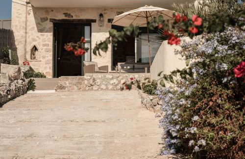 Anemos Studio - Foto 108