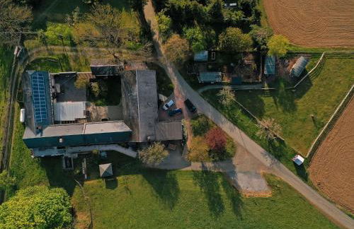 Ferienhof Berghof - Foto 8