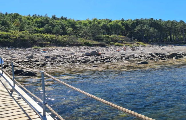 6 Person Holiday Home in Hornbaek - Photo 29