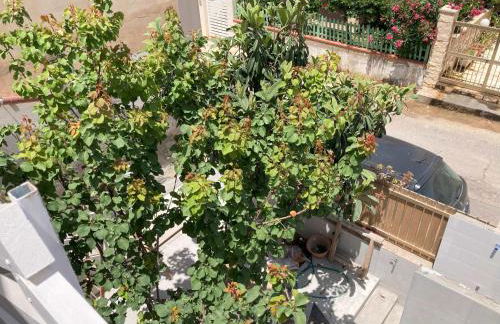 Suliscia open space di Sulemmari - Foto 13