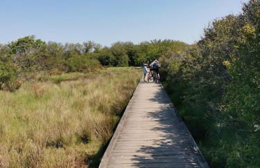 Les Cerisiers du Rouz - Foto 17