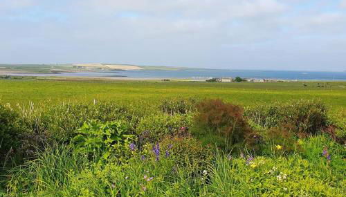 Exceptional 4 bed converted church with hot tub - Foto 3