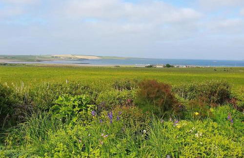 Exceptional 4 bed converted church with hot tub - Photo 3