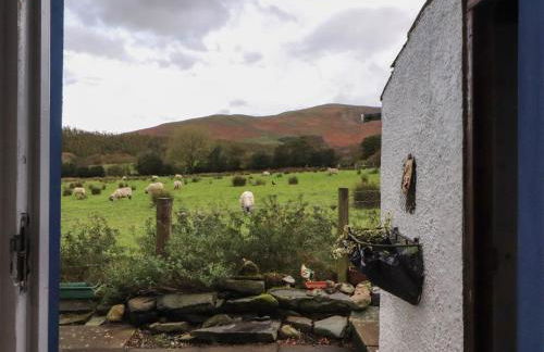 Kestrel Cottage - Foto 35