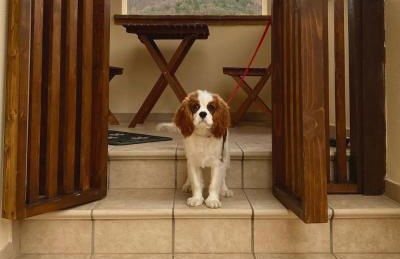 Domus Laetitiae Santa Croce - Foto 36