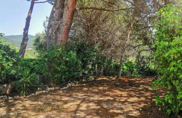 Casa Pineta - Foto 16