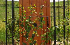 Sotto La Vigna Charm Stay Adults only vacation Appartement Hayloft - Foto 24