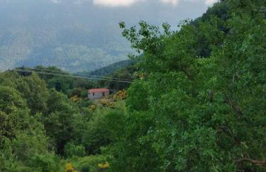 Το σπιτάκι του Σπύρου - Foto 6