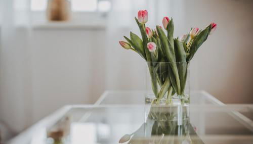Ferienwohnung Weidenblick - Foto 2