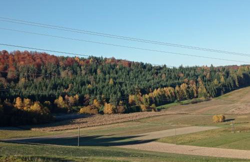 Bieszczadzki Horyzont Apartamenty - Photo 61