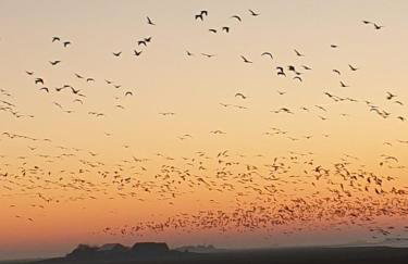 HaRe Ferienwohnungen - Foto 64