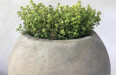 Baldauf Modern Retreat - Foto 18