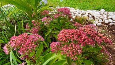 Cozy & Comfy Bright 3 Bedroom Home - Foto 4