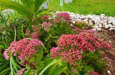 Cozy & Comfy Bright 3 Bedroom Home - Foto 4