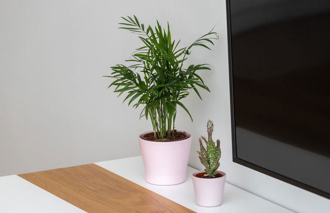 Northern Apartments Gdynia by Renters - Photo 18