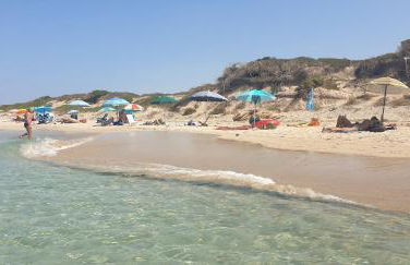 Virginia Country house - Foto 75