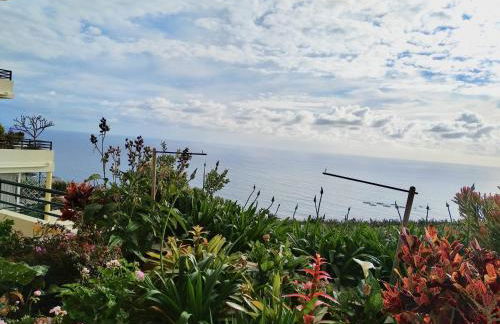 Jardim do Arco "Esmee" - Foto 37