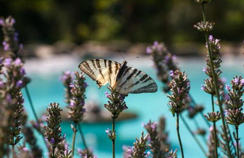 OASI LIGNANA Country Chic Apartments, nestled in a 40-hectare estate - Foto 1