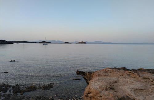 Vivianna's View - Foto 22