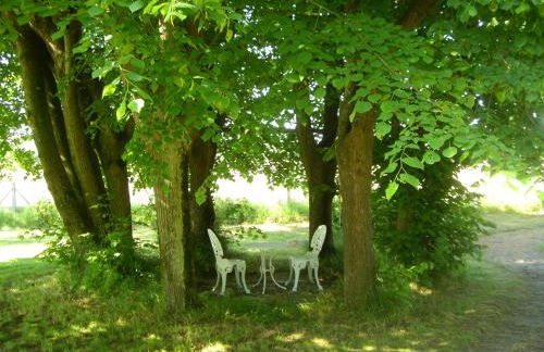 Appartements détente & nature - Domaine de La Thiau - Photo 77