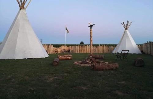 Reiterhof vom Litzlbach - Foto 17