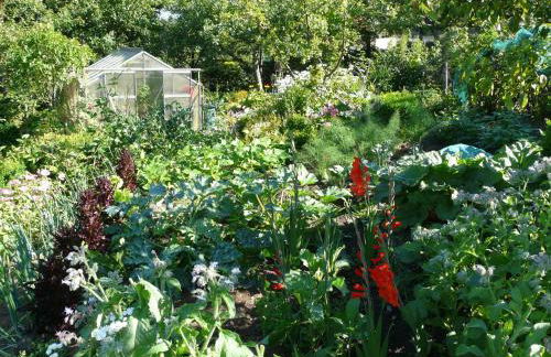 Haus mit Aussicht - Foto 20