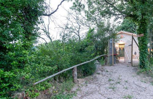 La Limonaia - Foto 12