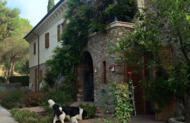 Dolce Vita - Foto 25