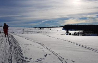 Haus Linde Frauenwald am Rennsteig - Foto 36